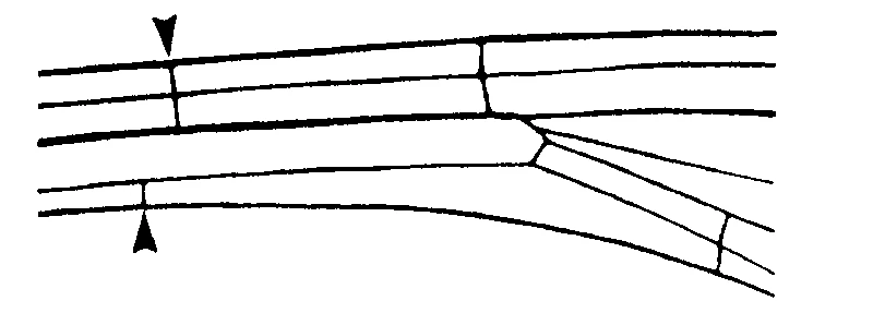 couplet drawing