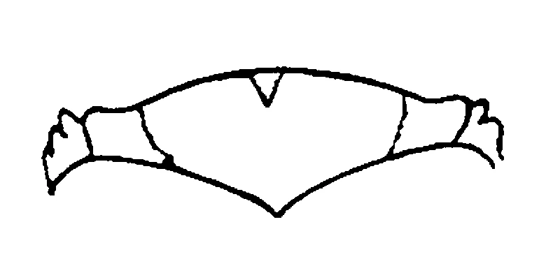 couplet drawing