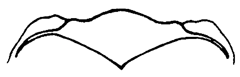 couplet drawing