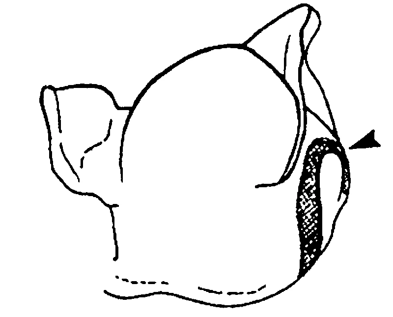 couplet drawing
