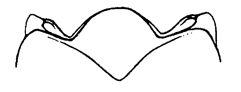 couplet drawing