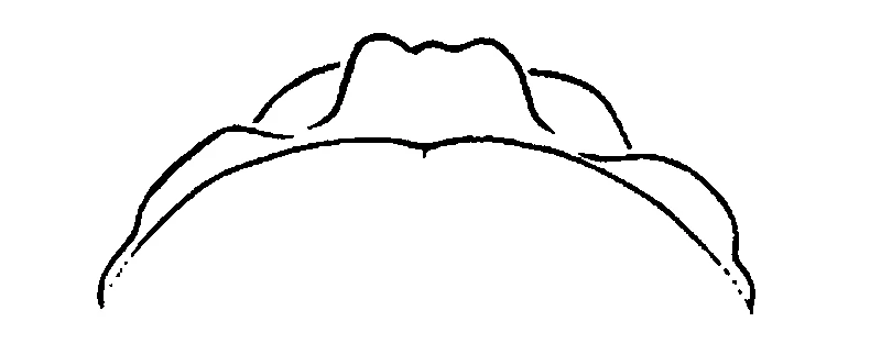 couplet drawing