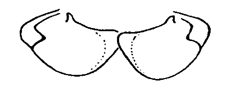 couplet drawing