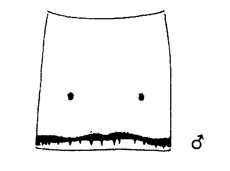couplet drawing
