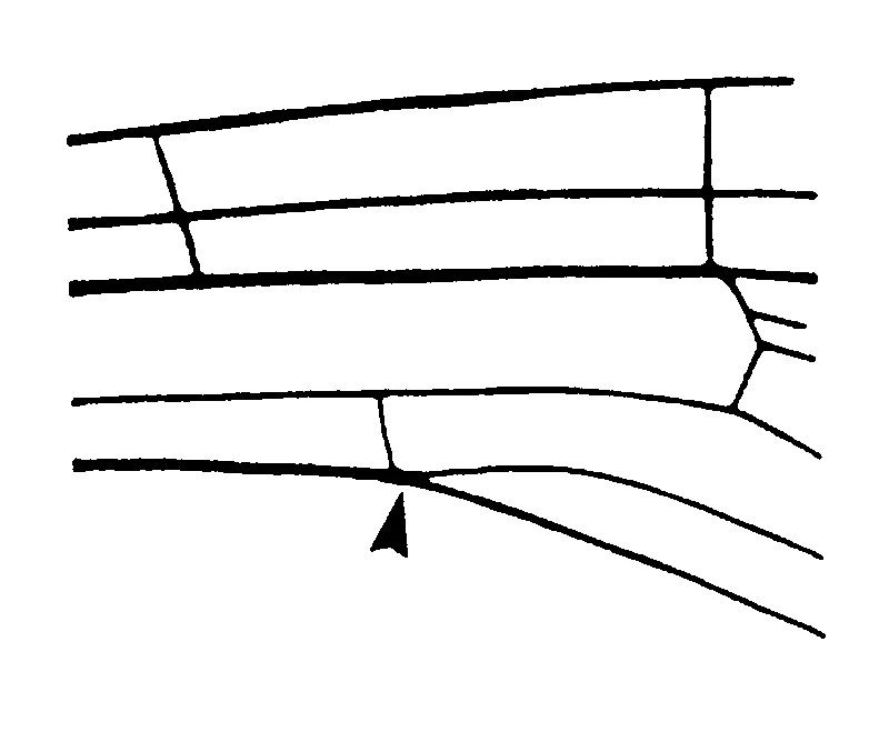 couplet drawing