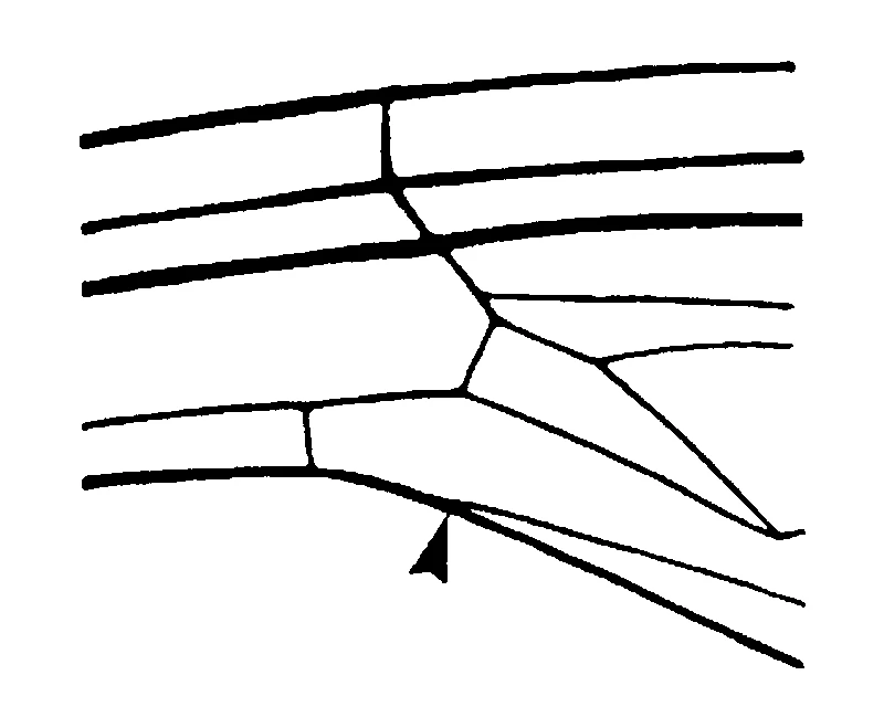couplet drawing