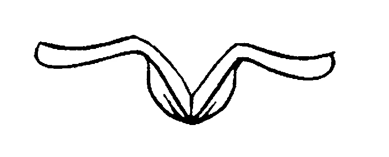 couplet drawing