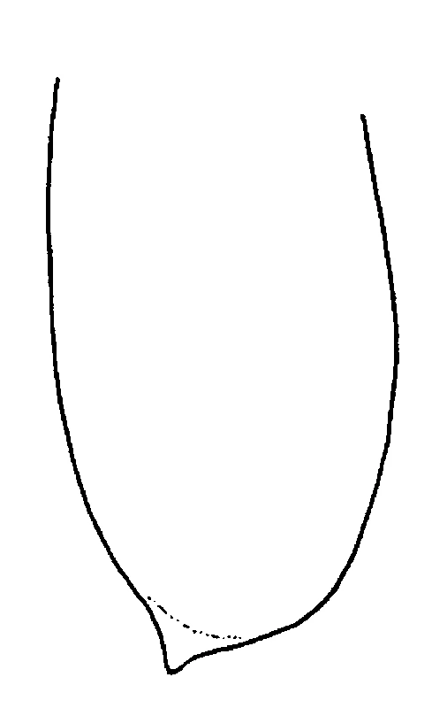 couplet drawing