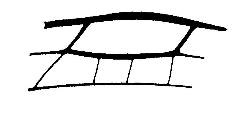 couplet drawing