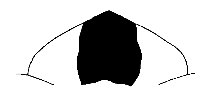 couplet drawing