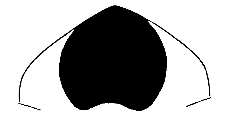 couplet drawing