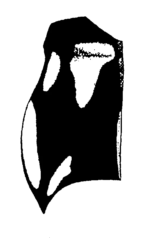couplet drawing