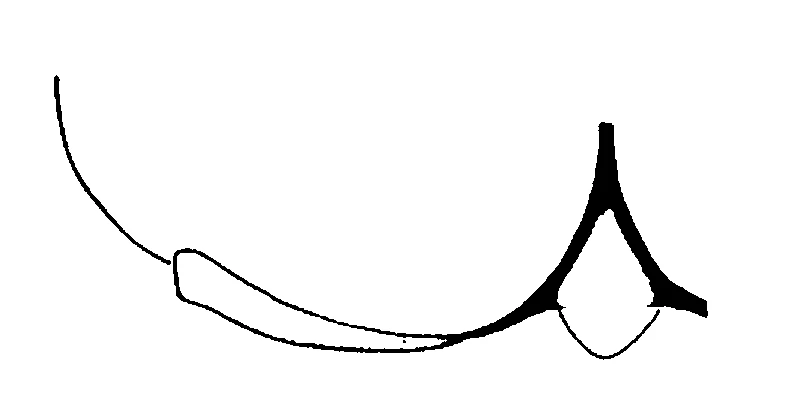 couplet drawing