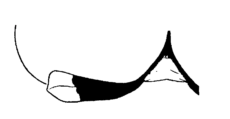 couplet drawing