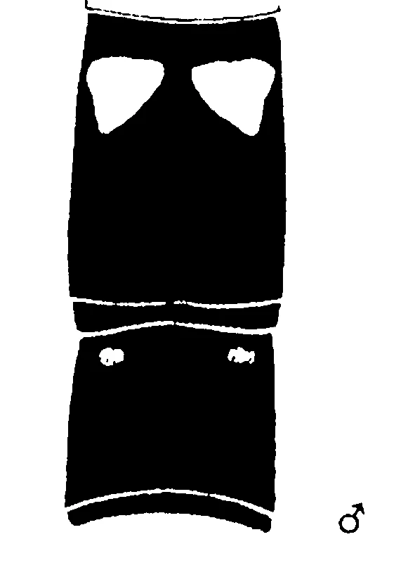 couplet drawing