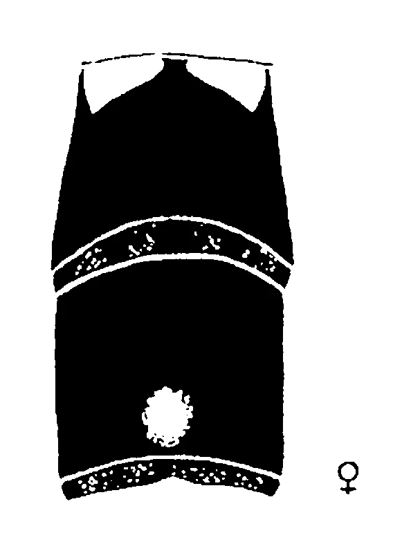 couplet drawing