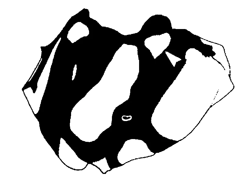 couplet drawing
