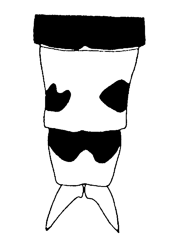 couplet drawing