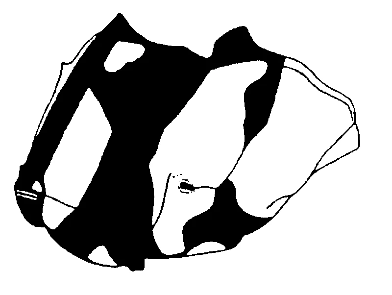 couplet drawing