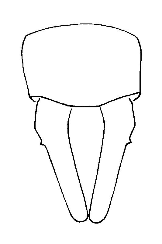 couplet drawing