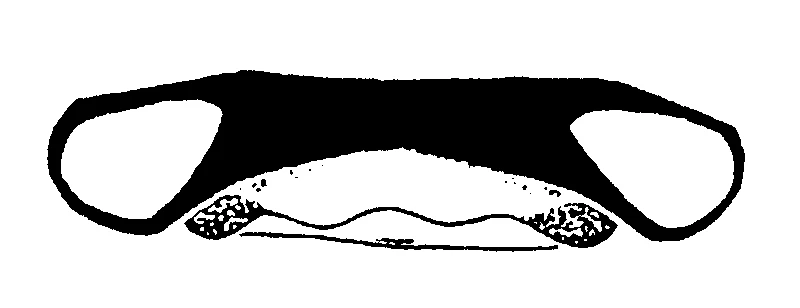 couplet drawing