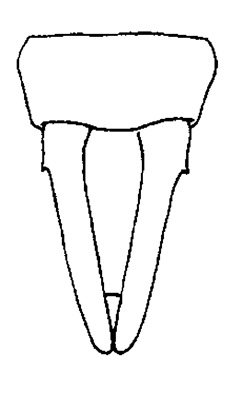 couplet drawing