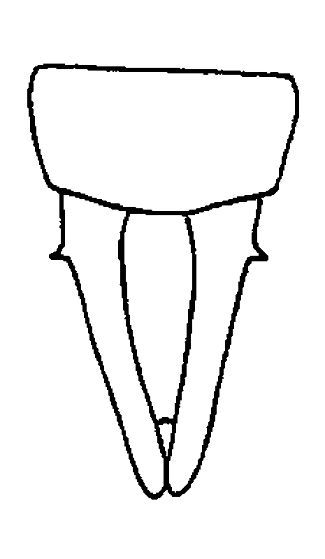 couplet drawing