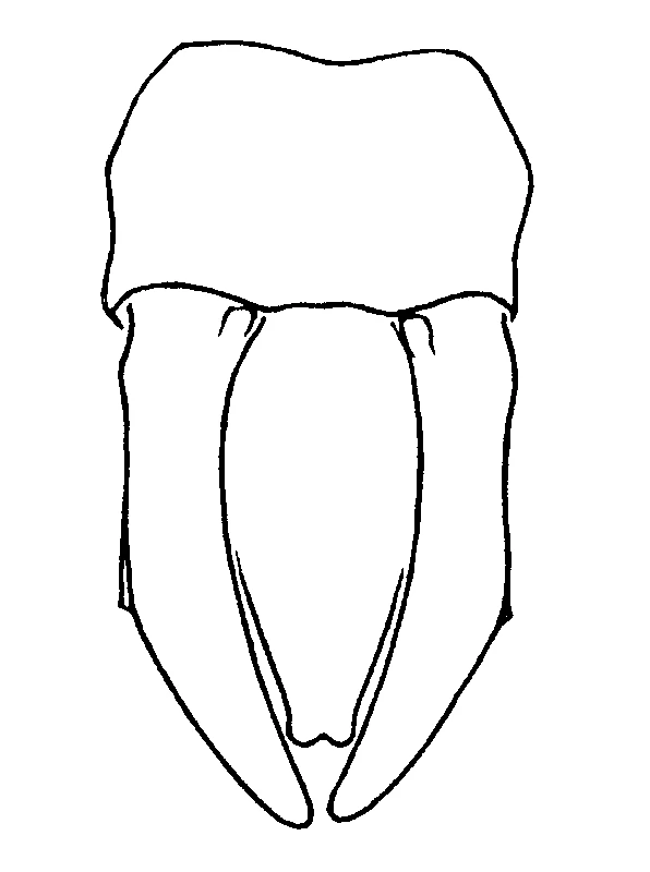 couplet drawing