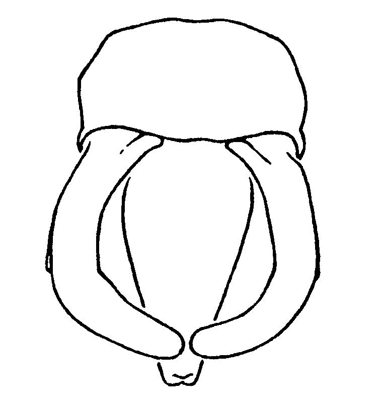 couplet drawing