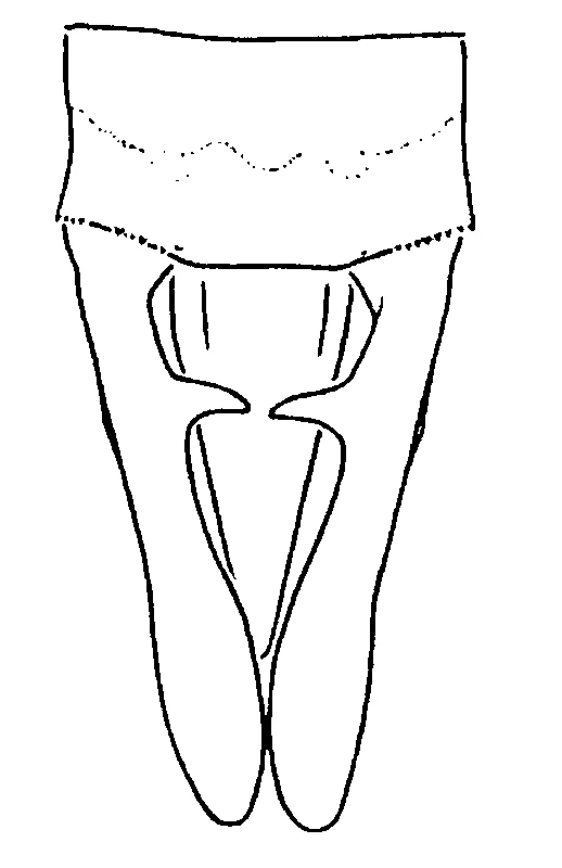 couplet drawing