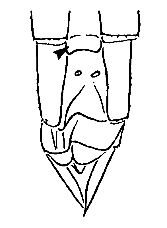 couplet drawing