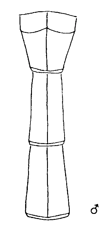 couplet drawing