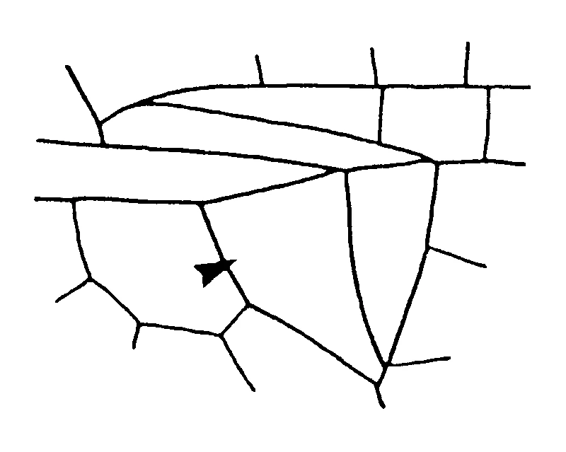 couplet drawing